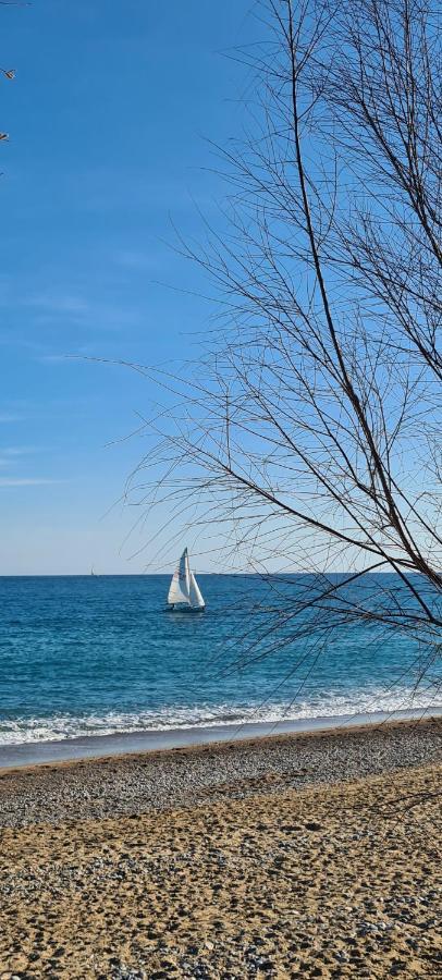 Villa Ange Azur 2 Villeneuve-Loubet Luaran gambar