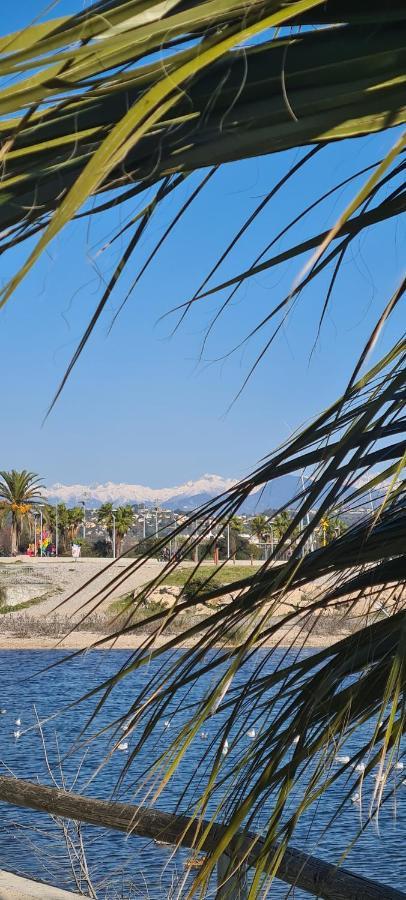 Villa Ange Azur 2 Villeneuve-Loubet Luaran gambar